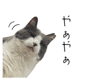 853330203