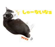 853330209