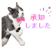 853330215