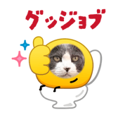853330220
