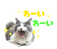 853330222