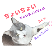 853330226