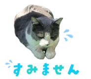 853330228