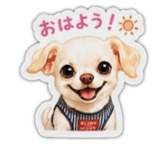 853330641