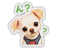 853330650