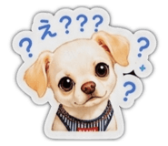 853330651