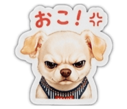 853330658