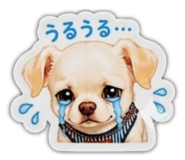 853330659