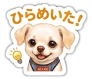 853330664