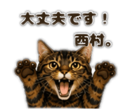 853330732