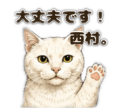 853330735