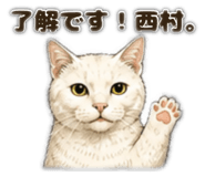 853330736