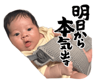 853331168