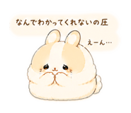 853331206