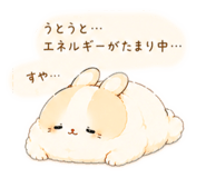 853331215