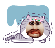 853331306
