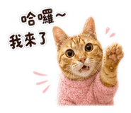 853332165