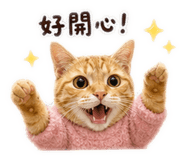 853332169