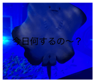 853332412