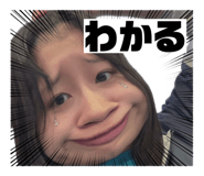 853332494
