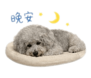 853332734
