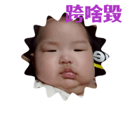 853333293
