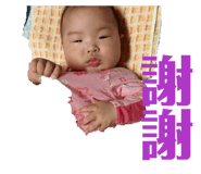 853333304