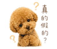 853333332