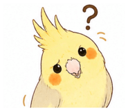 853334042