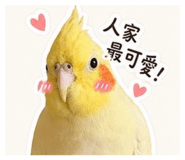 853334045