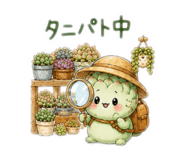 853334426