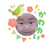 853334482