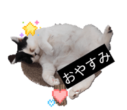 853334598