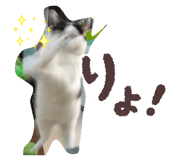 853334604