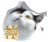 853334608