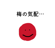 853334812