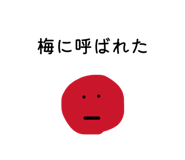 853334813