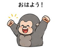 853335697