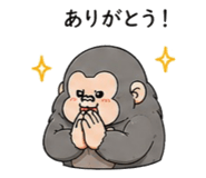 853335707