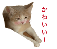 853335815