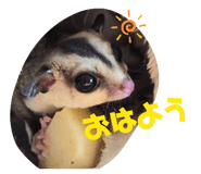 853336565