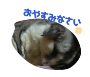 853336566
