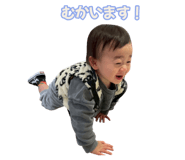 853336582