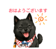 853336586