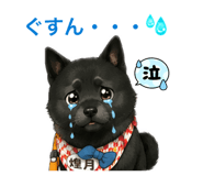 853336589
