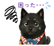 853336590