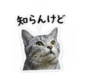 853336627