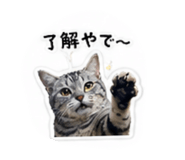 853336630