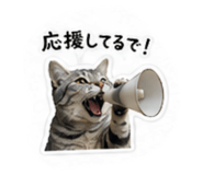 853336631