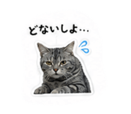853336640